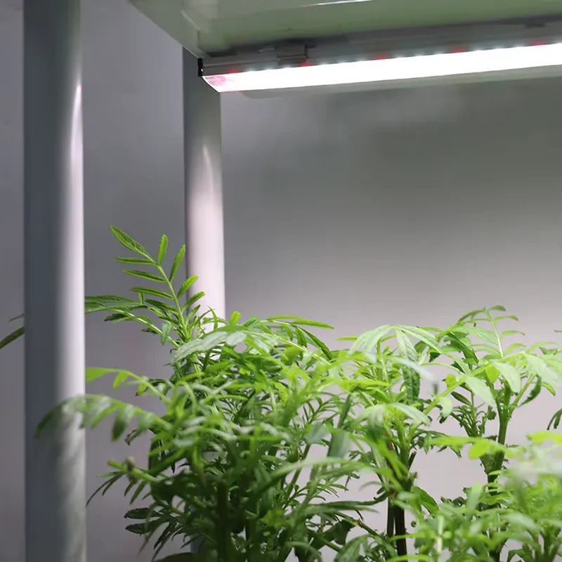 Self-Watering Planter - 이동식 수직형 3단 자동 급수 스마트