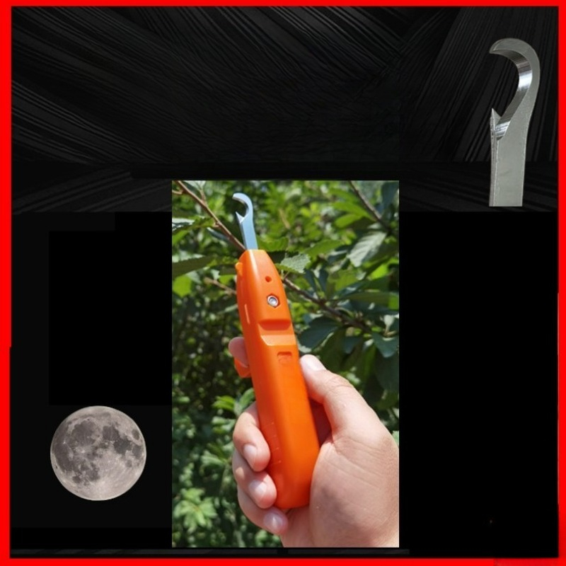 과일 따기 가위 스테인레스 스틸 가위 사천 고추 포도  - Gardening Tools Vegetables 리뷰 및 가격