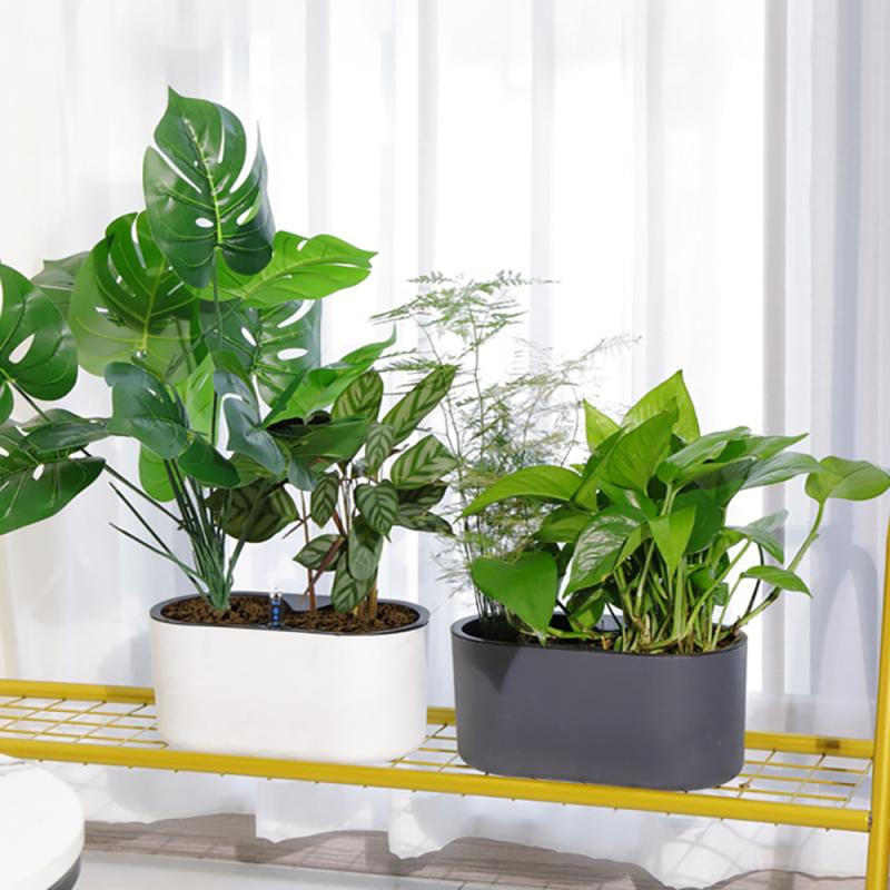 실내 식물 나무 다리 꽃 용기, 미끄럼 방지 통기성 자 - Automatic Plant Waterer 리뷰 및 가격
