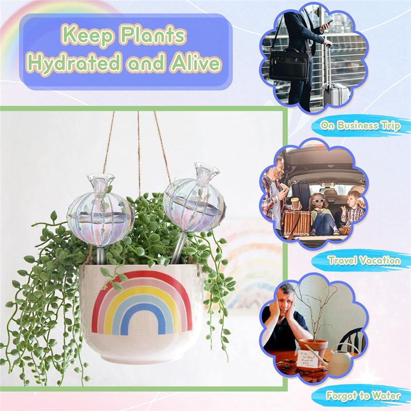 AA94-식물용 자동 급수 구슬, 유리 재질의 선인장  - Self-Watering Planter 리뷰 및 가격
